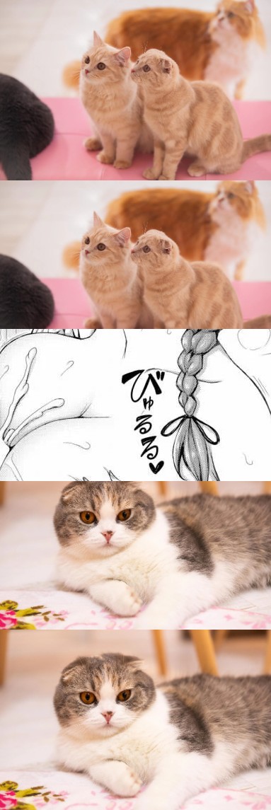 はぐれモン tweet media