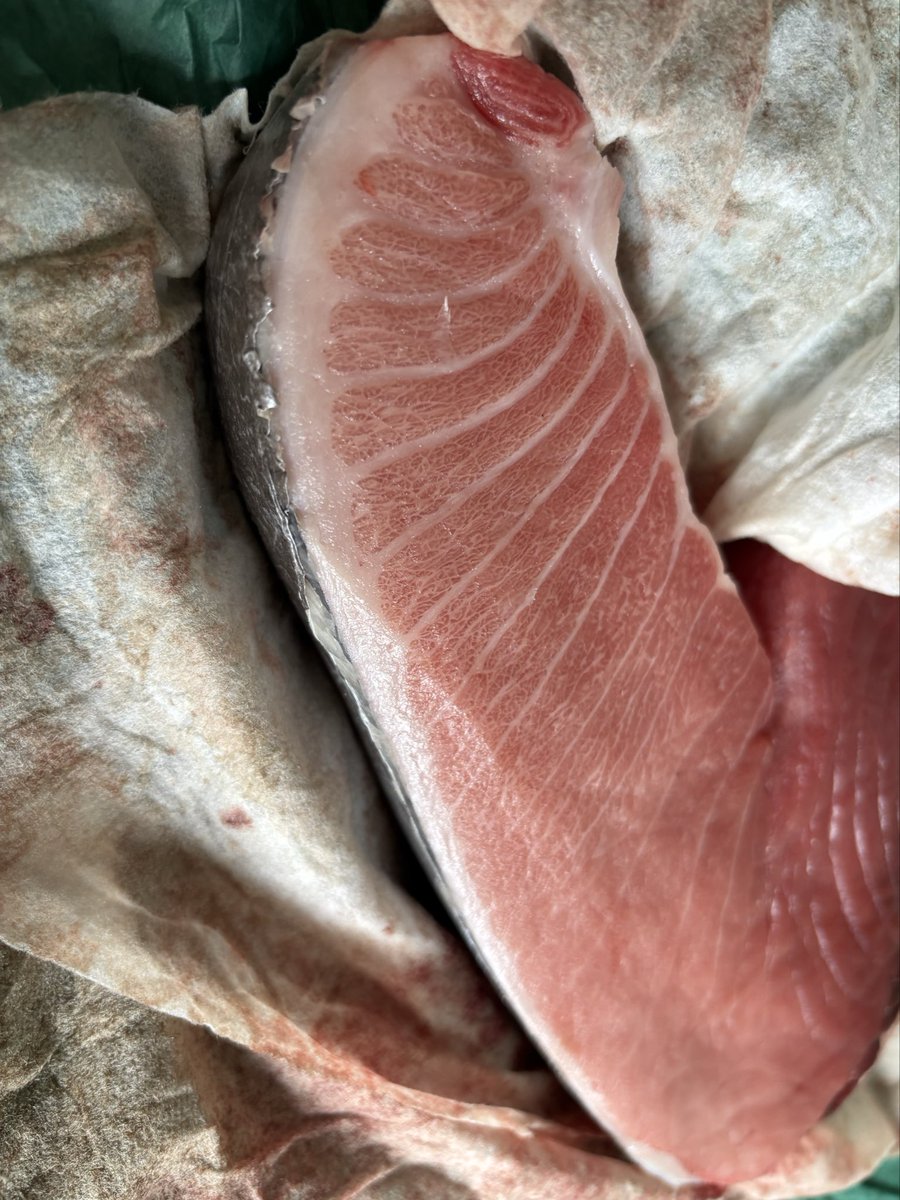 本マグロ！ トロ・中トロ・赤身セット これ半分下さいっ