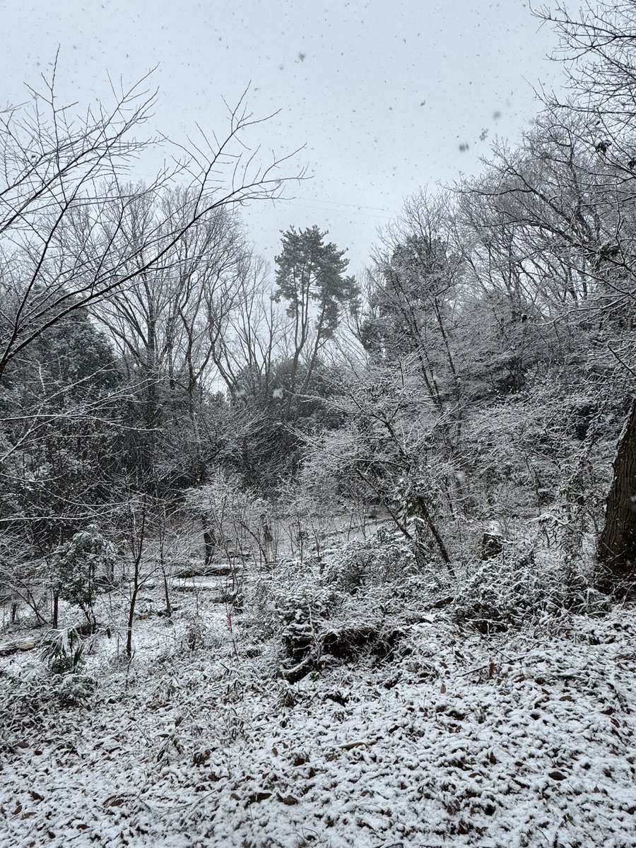 hot_ohzy's tweet photo. 多摩〜雪ねぇ･･･
地面まで白く染め上げたなら〜♪
明日は〜駐車場の雪かき
朝からやるのかい･･･♪😫☃️🚗🪏

#レミオロメン
#粉雪 じゃなくなってきた https://t.co/50hJhE2jER