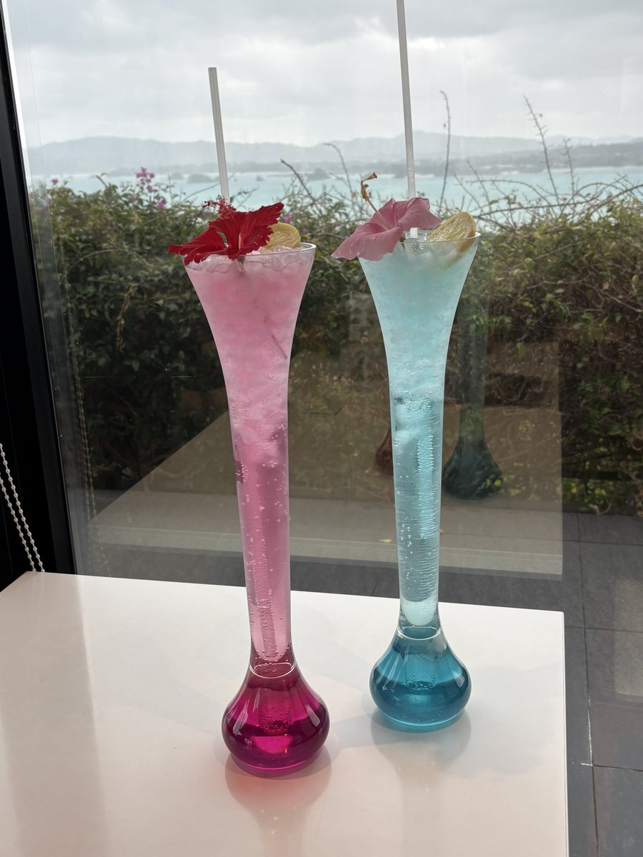 念願の オーシャンタワードリンク🍸