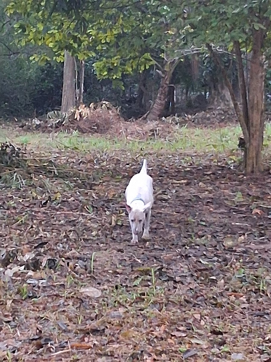 Rebecca รีเบคก้า tweet media