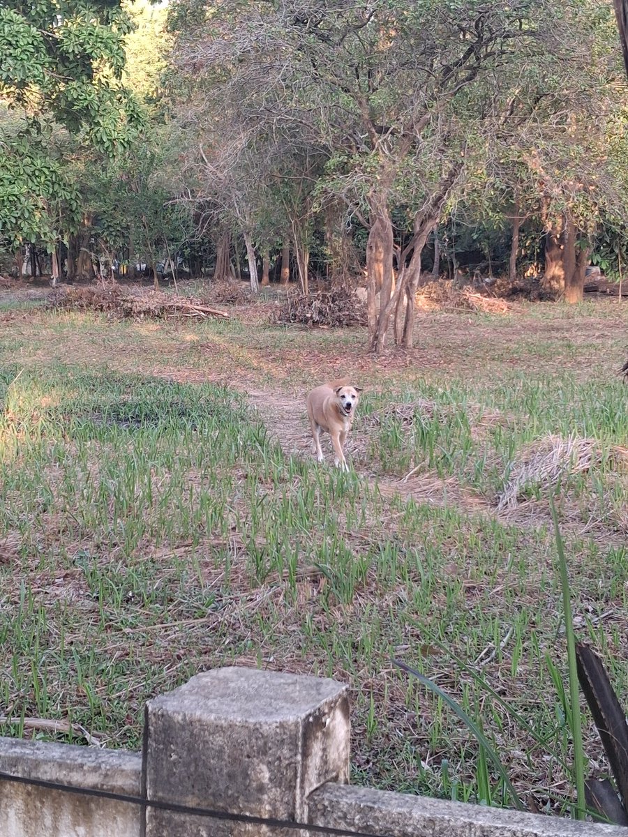 Rebecca รีเบคก้า tweet media