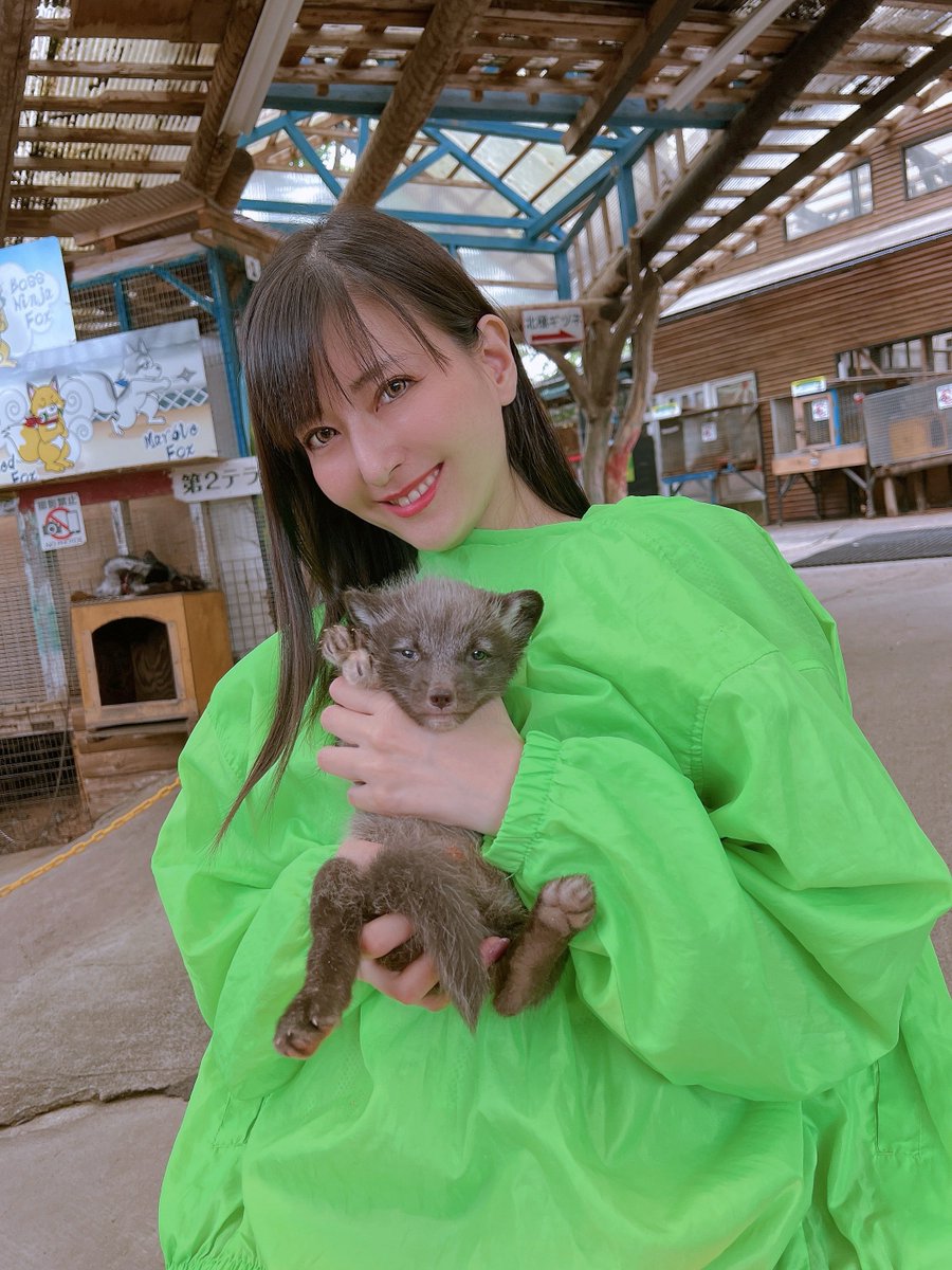 konomisotechnic's tweet image. 蔵王キツネ村は良いですぞ🦊

GW以降はこぎつねだっこできます💗
わたしは大人のモフモフ好きだから
冬によく行きます⛄️
（左の子はしーちゃんです）