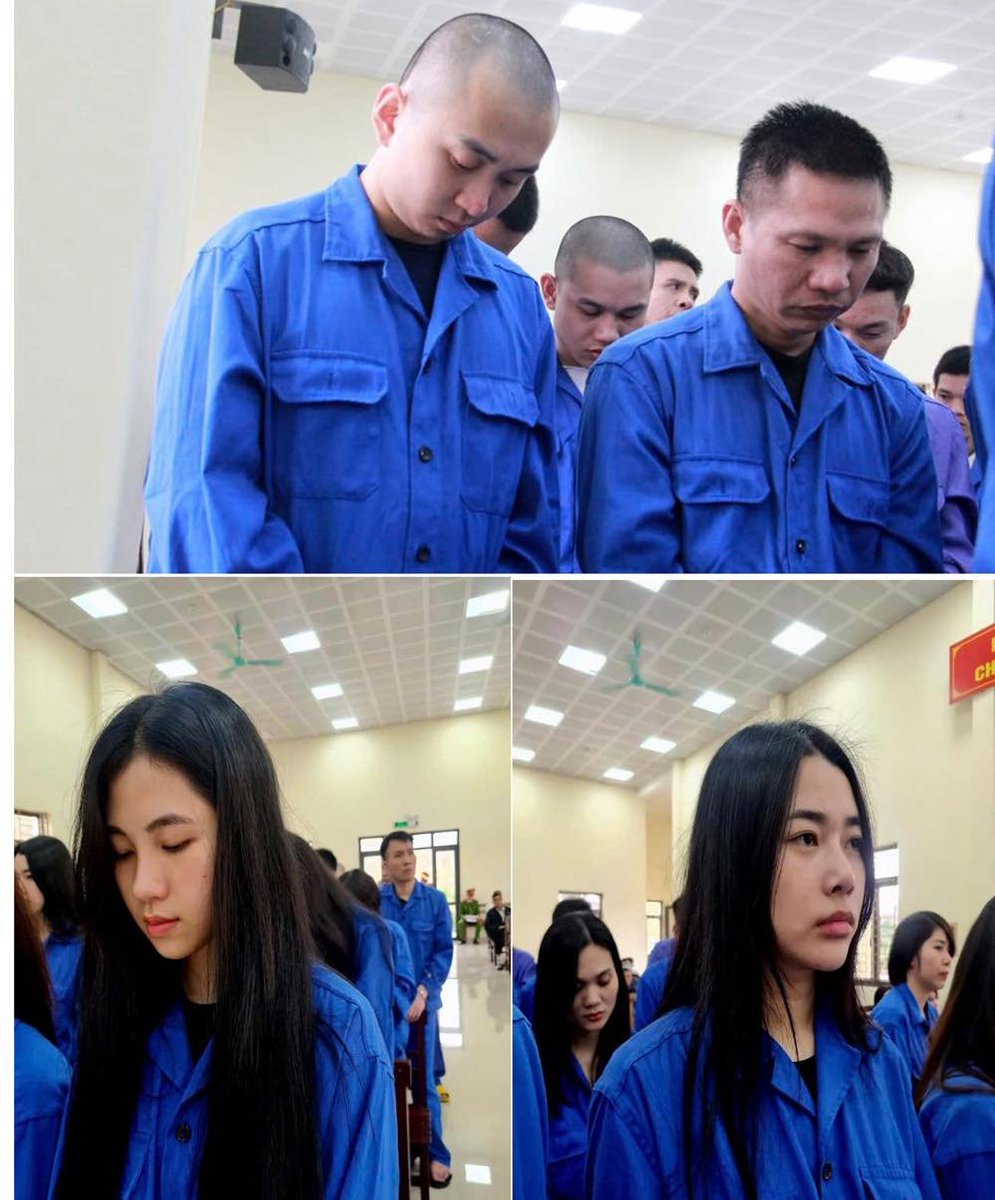 Minhtuan | AlphaBack.net 🇻🇳 tweet media