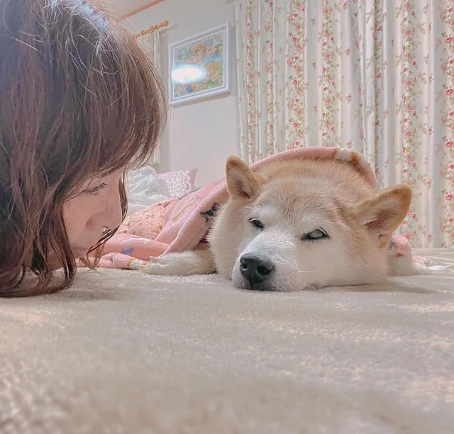Himari ひまり tweet media