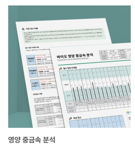 민토 Minto tweet media