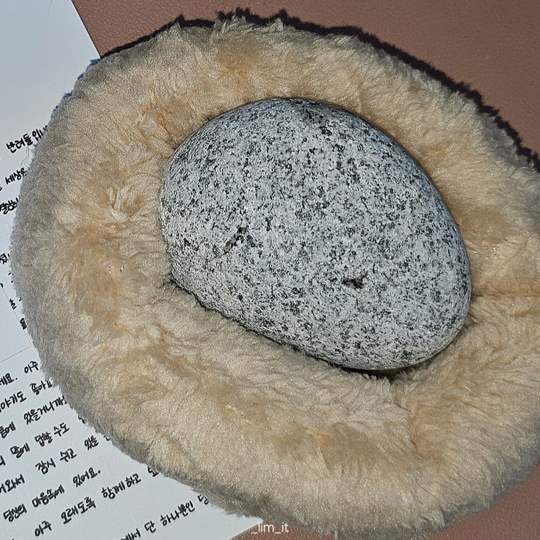 림잇 🌱 tweet media