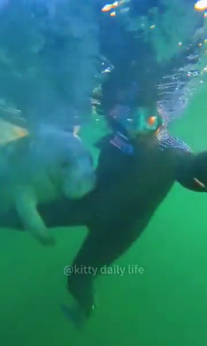 Johnchidera65 tweet media