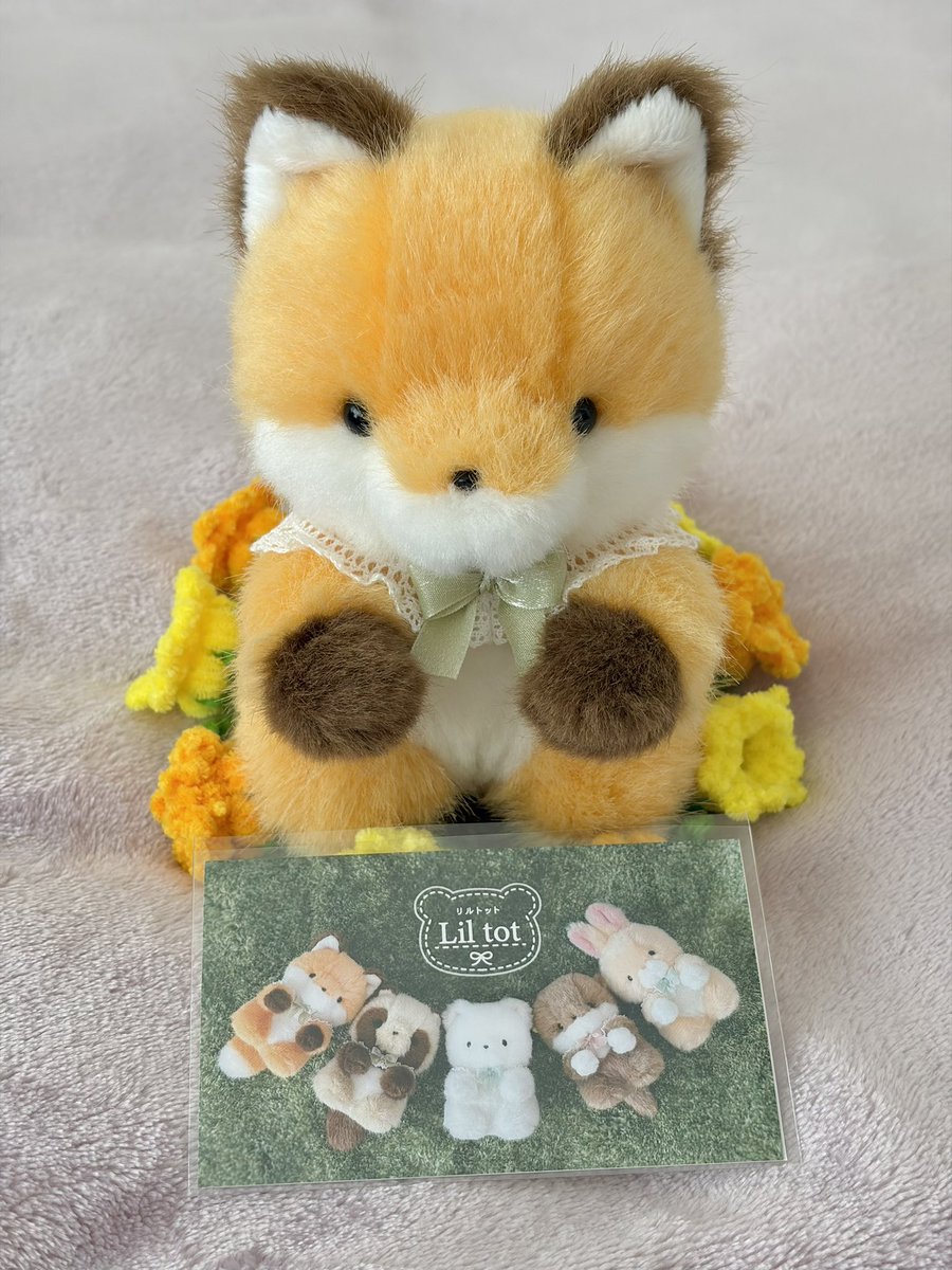 こぐま えりん様<a href="/Liltot_koguma/">こぐまえりん / Lil tot</a> のキツネちゃんお迎えしましたˆ ̳◝ ·̫ ◜ ̳ˆ
Xでお見かけした時に可愛いなと思っていたのでお迎えできて嬉しいです！実際に手元にきた子も本当に可愛くて目に入るたびに癒されてます♡ありがとうございました✨