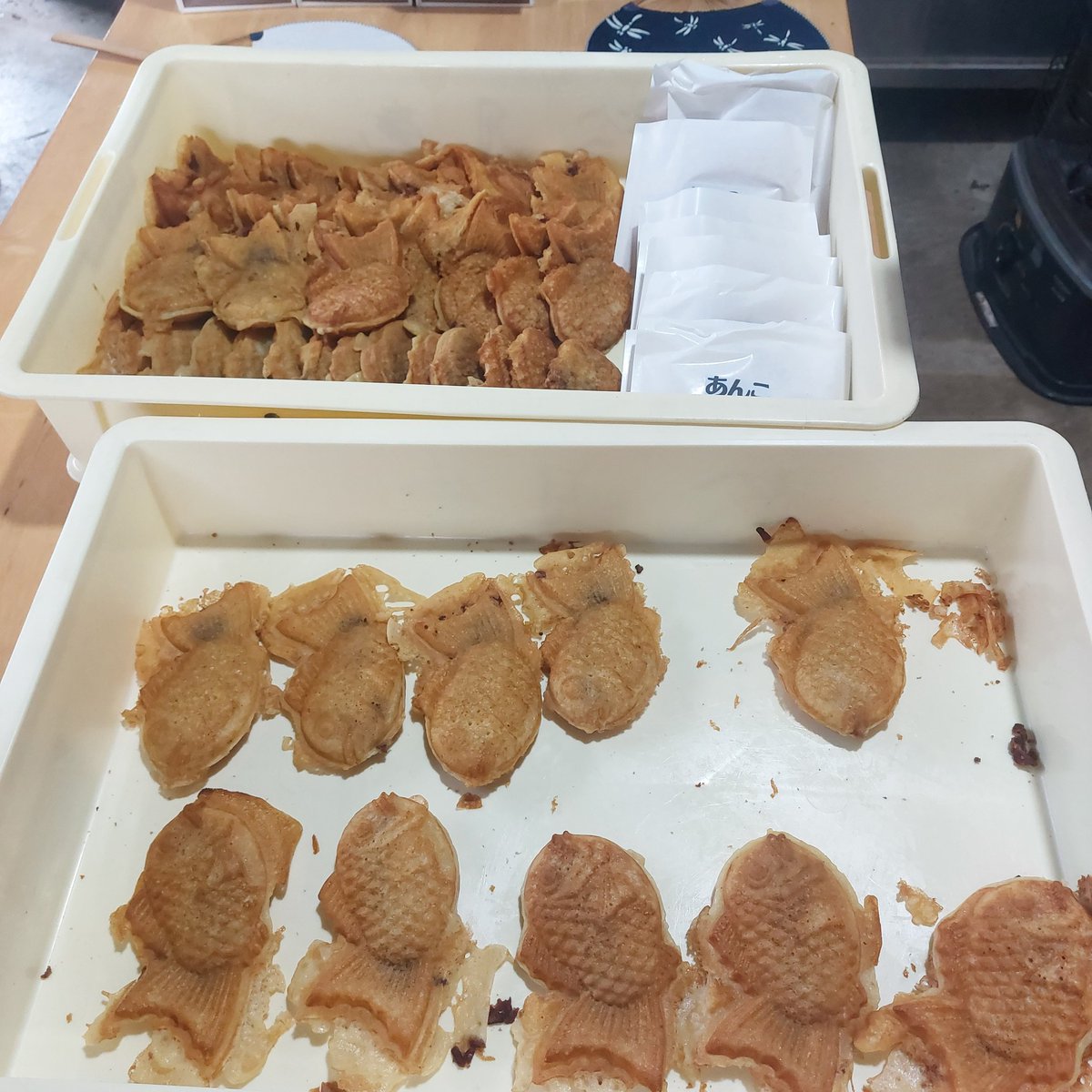 冨島 智恵子 tweet media