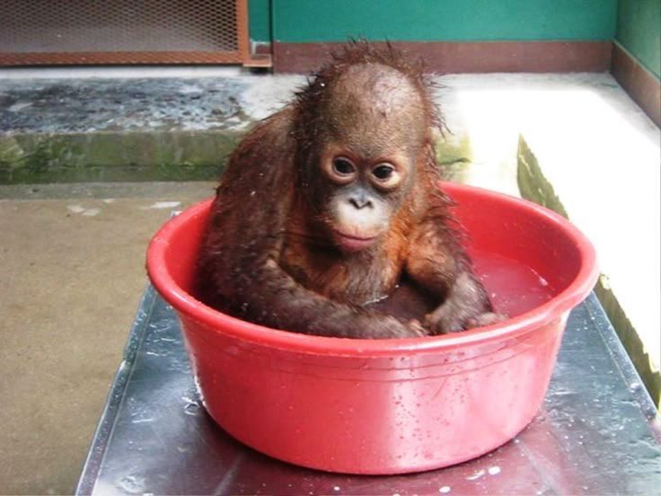 taeminluvr7's tweet image. them: you better not be sitting in the bowl of thought
my contemplative ass;