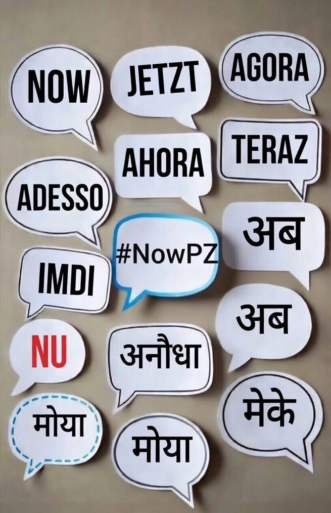 PZ ❌ tweet media