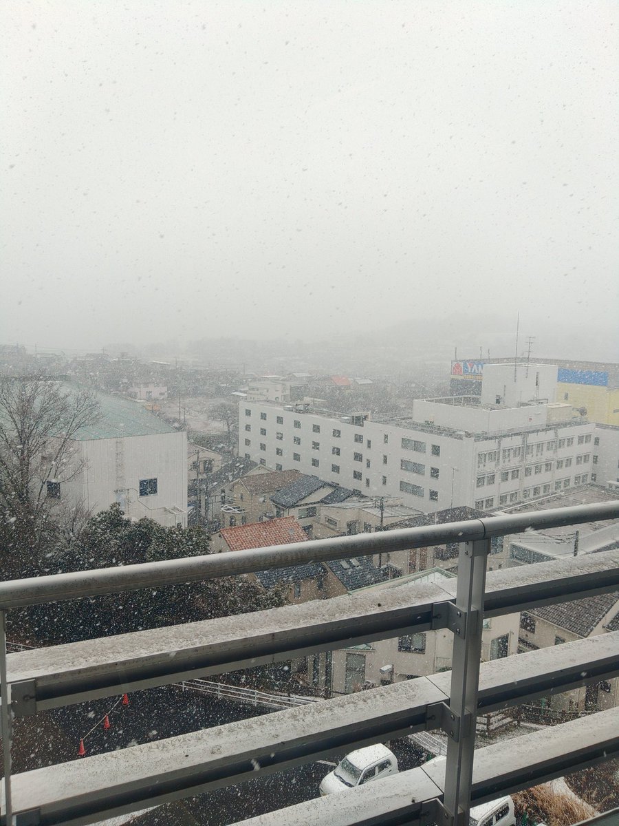 (えろ)にゃんさん tweet media