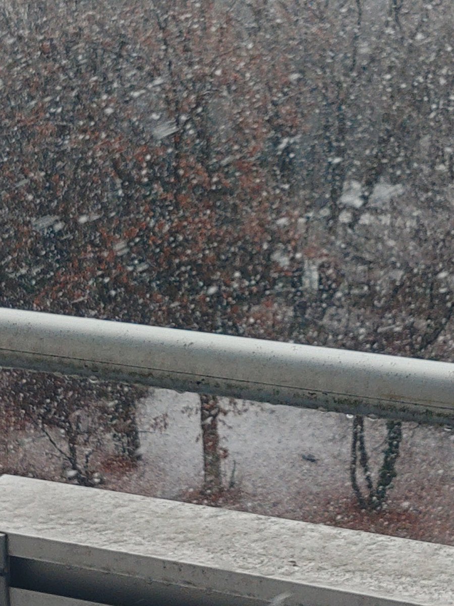 (えろ)にゃんさん tweet media