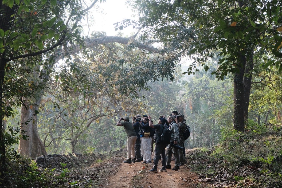 Goa Forest Department tweet media