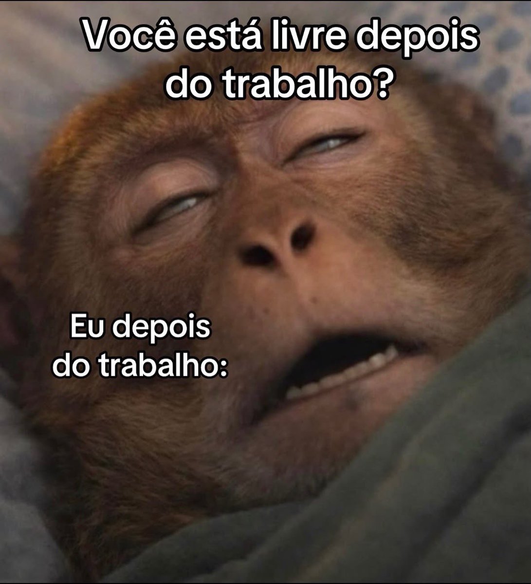 Pagina lixo (@paginalixo1) on Twitter photo 