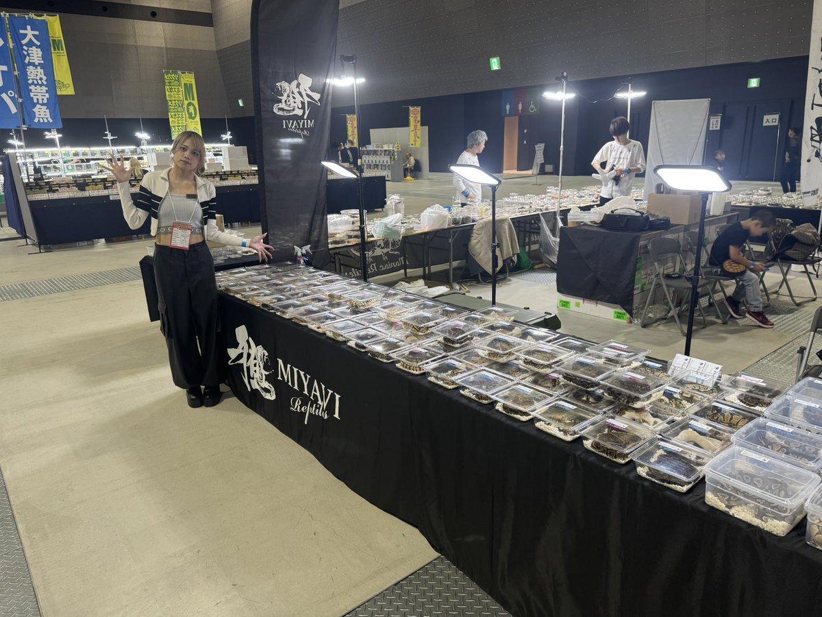 雅 Reptiles tweet media