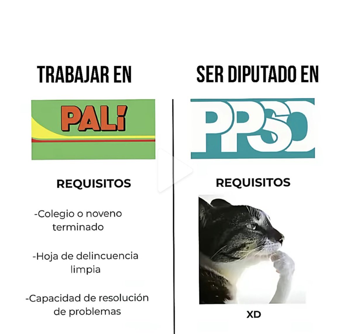XD