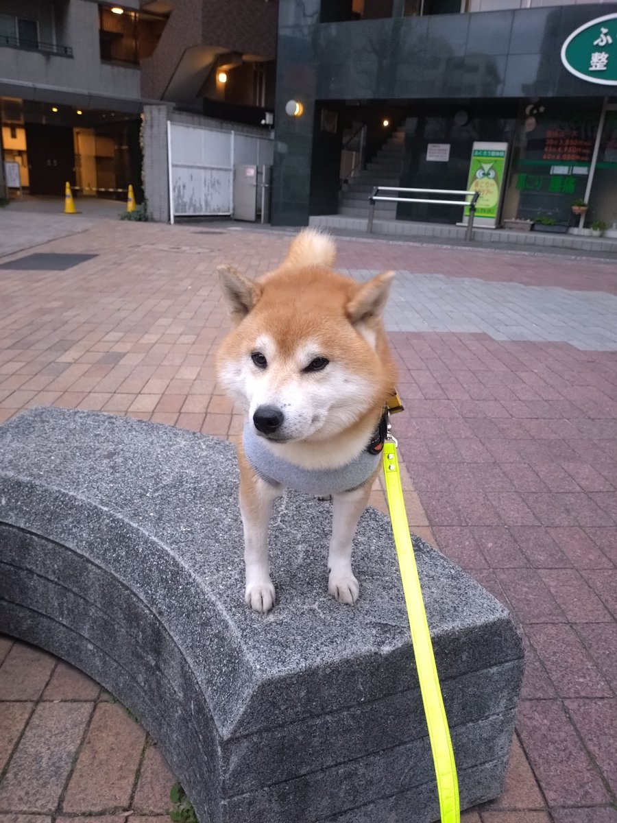 龍ちゃんズとよっちゃんみっちゃん (@ryuchan123bro) / Posts / X