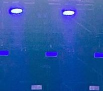 minecraftwolf44's tweet image. 遊びで入る 🐢