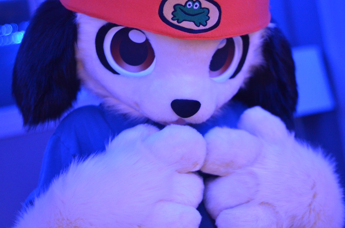 i really want sunny to be my valentine...... but i'm too shy to ask!! help!!
#fursuitfriday