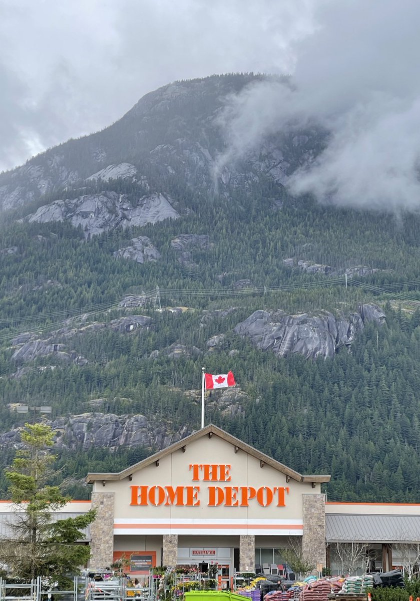 𝖓𝖎𝖓𝖊 🕯 tweet media