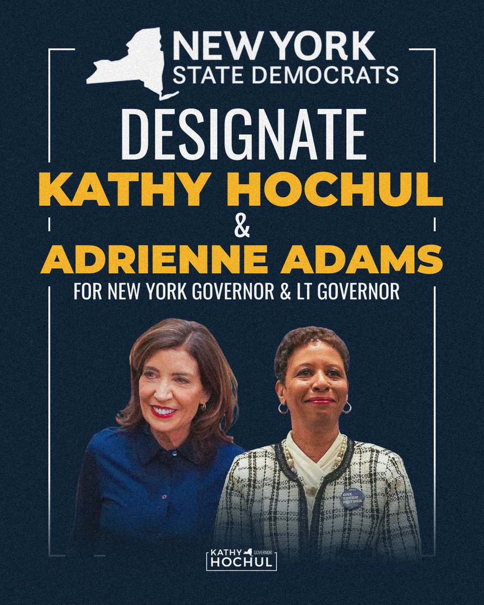Team Hochul tweet media