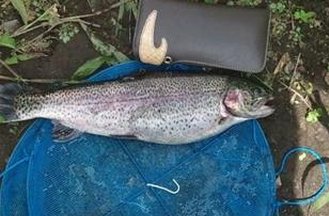 JessEFresh's tweet image. 悲しみを持つ 🧑