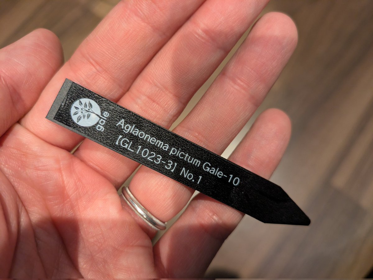 げいる tweet media