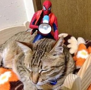 jessham85's tweet image. 遊びを置く 🥚