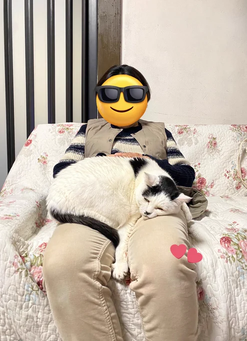 こちらは母の膝の上で寝たいおキャット様です