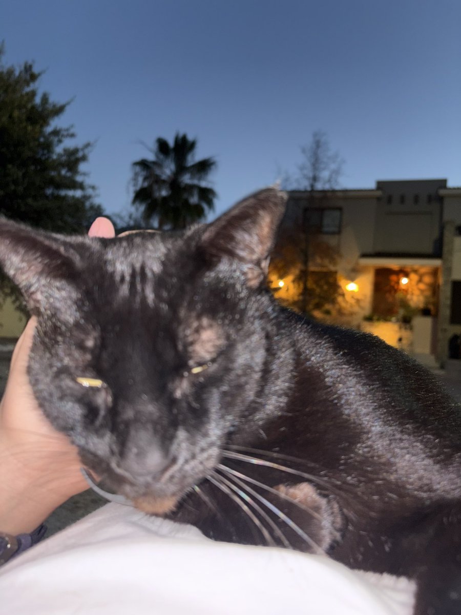 SmthingFunny tweet media