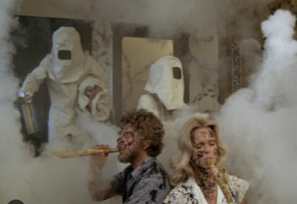 MistrelofHorror's tweet image. The best way to survive a poisonous ant swarm is to smoke so much trick weed that they have to call people in hazmat suits to pull you to safety...or was that just a coincidence? Was the goal to get the ants high? Perhaps the hazmat dudes? #horror #ants #insects #survival #smoke