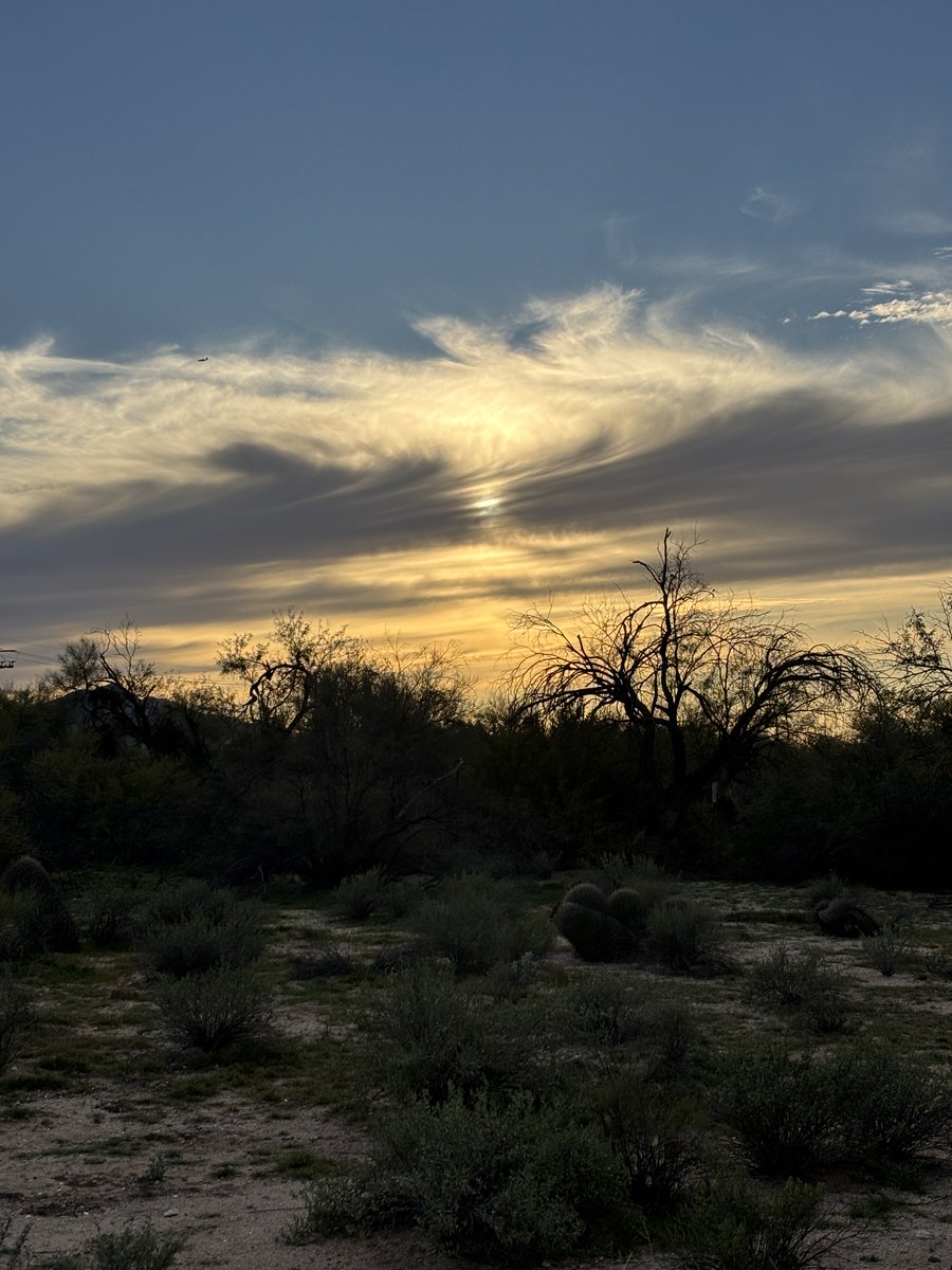 Shabbat Shalom from peaceful desert