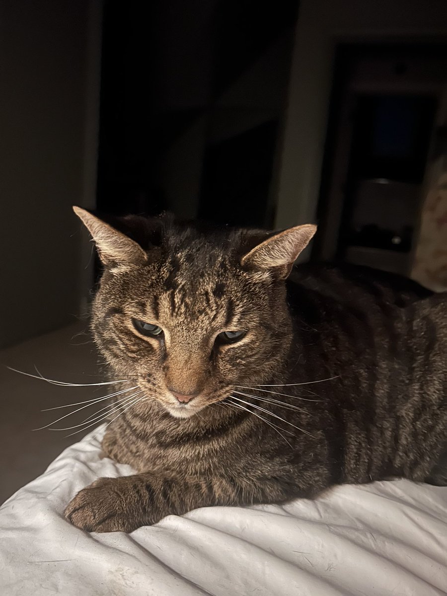 Ginger Tucci tweet media