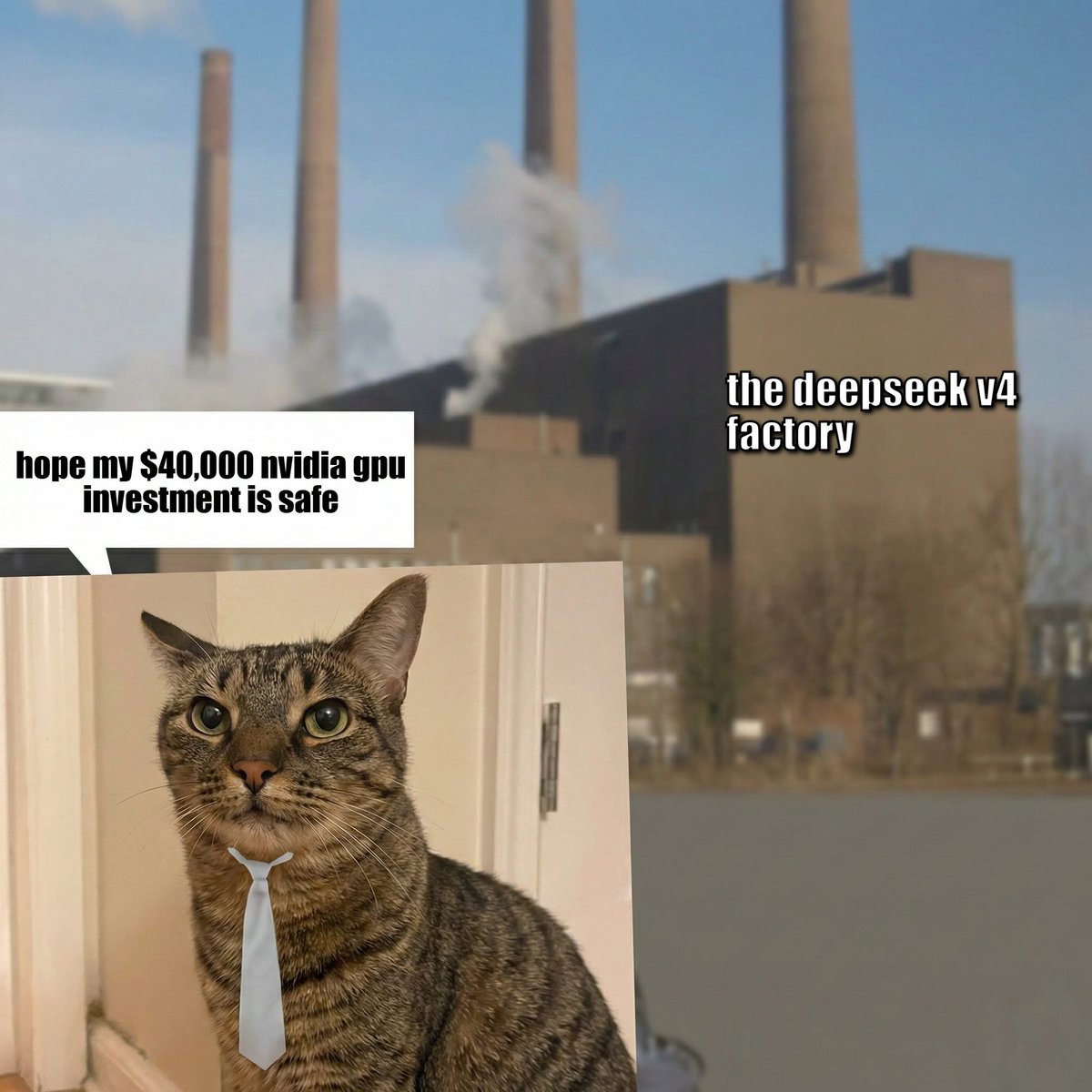 factory cat tweet media