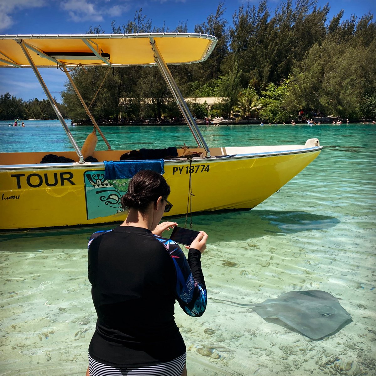 ParoDeeJay tweet media