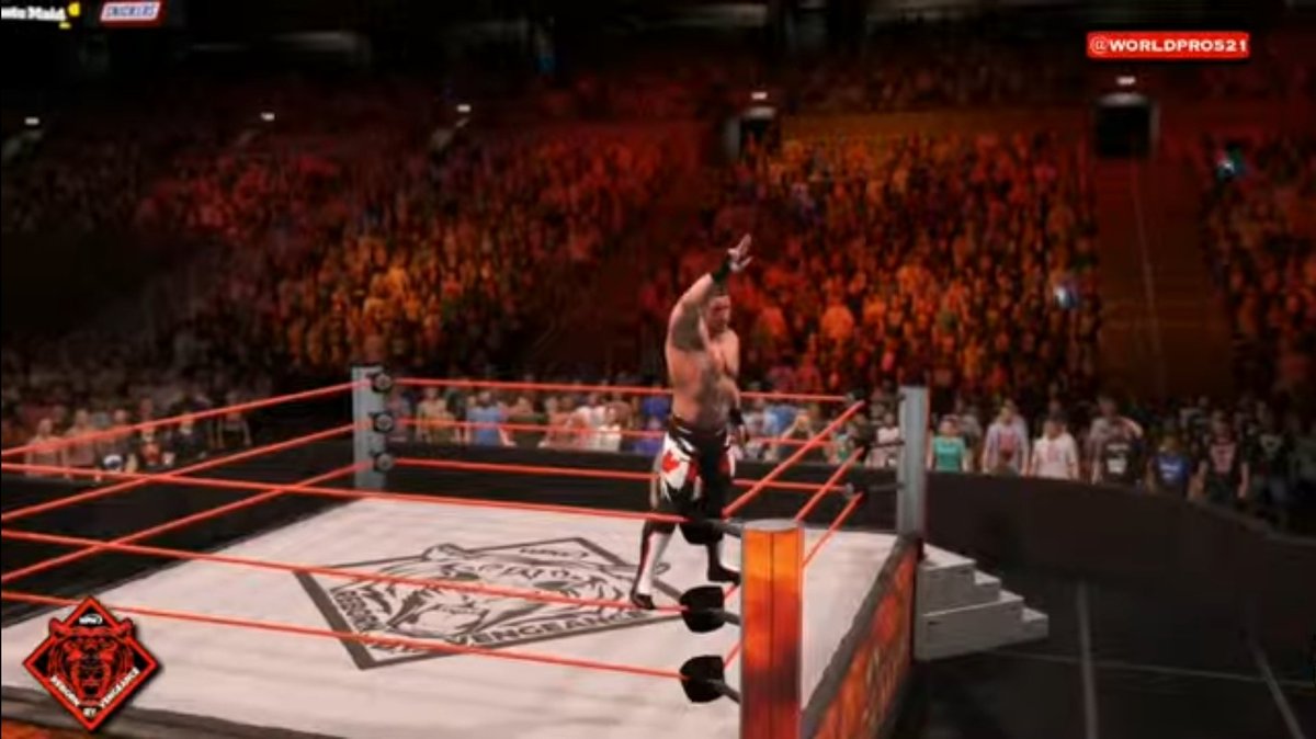 Dojo Talent tweet media