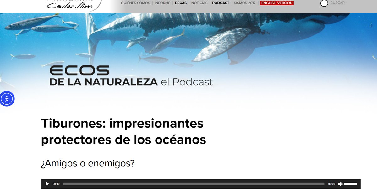 FundaciónCarlosSlim tweet media