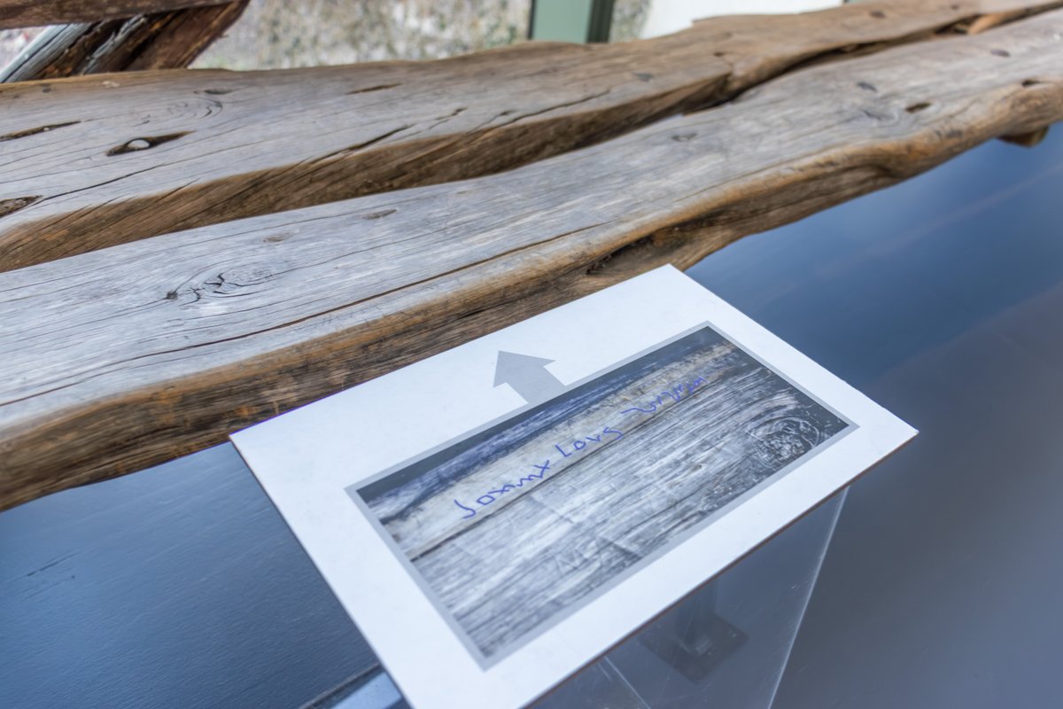 Witte Museum ~ Nature, Science & Culture tweet media