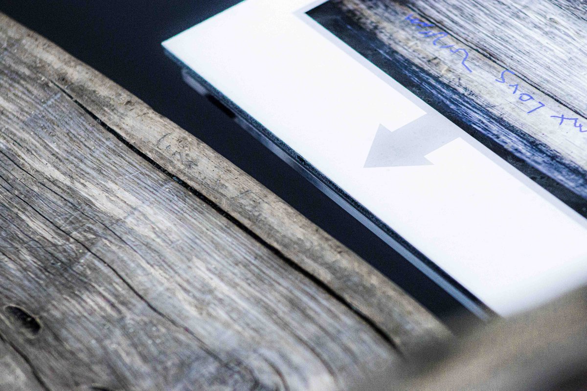 Witte Museum ~ Nature, Science & Culture tweet media