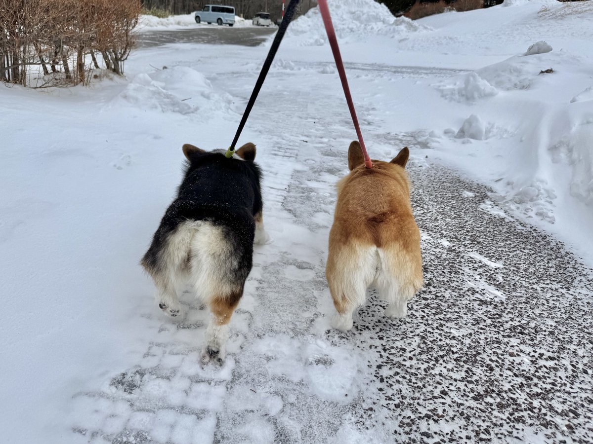 まろ眉のコパン (@kopant17) / Posts / X