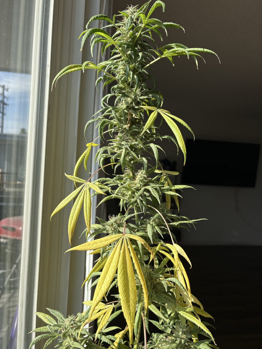 lilbaby💙 tweet media