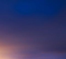 YoToniox's tweet image. なぜの歌の？ 🐄