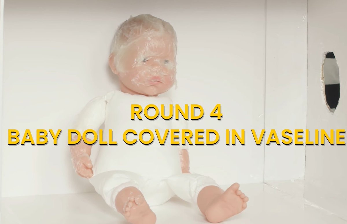 Quién carajo es la nueva producción de sturniolo triplets??? Javier milei????