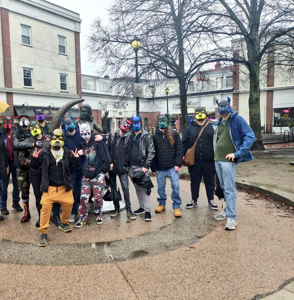 Pup Banditt Goodboy tweet media