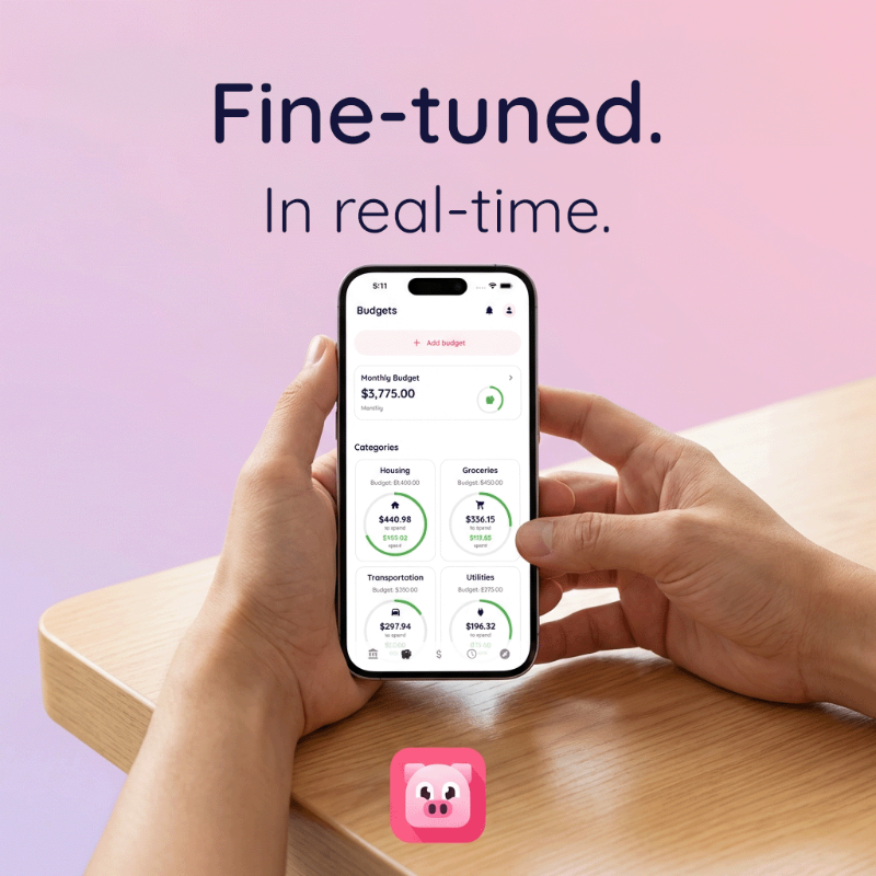 thebudgitapp's tweet photo. that spreadsheet had a good run. it's time to put your finances on autopilot. 🐽