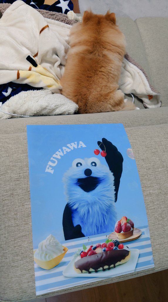 FUWAWA〜