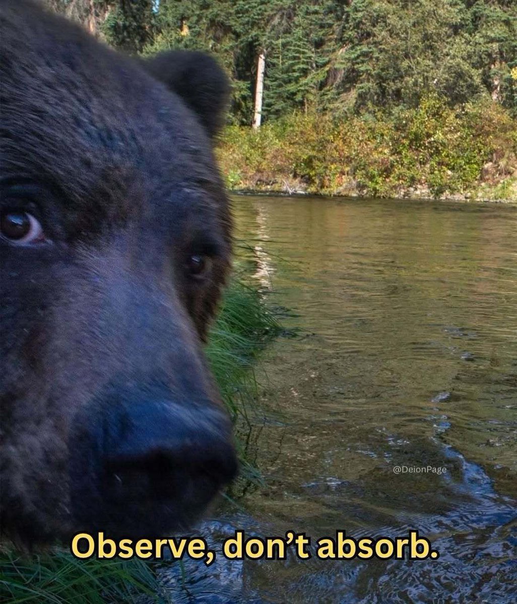 ARTIFAXING (@pedestrian) on Twitter photo 