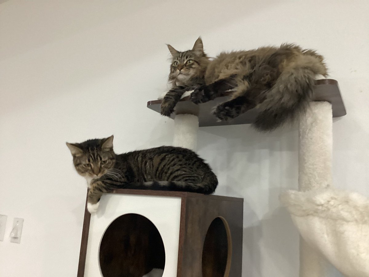 Snail😻 (@trash_snail74) on Twitter photo 